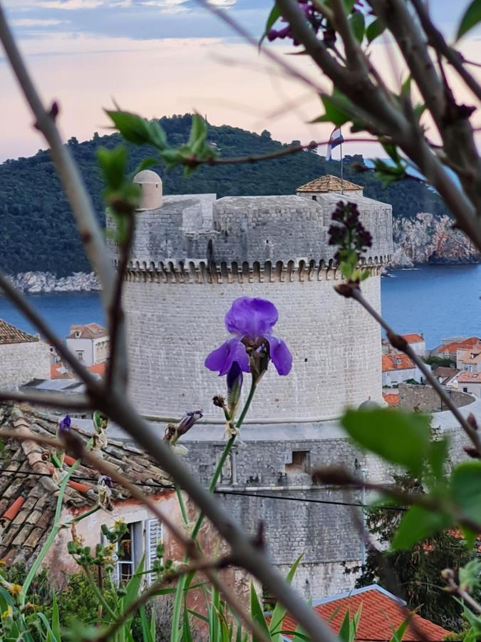 Apartment Bruana 5 Dubrovnik Extérieur photo